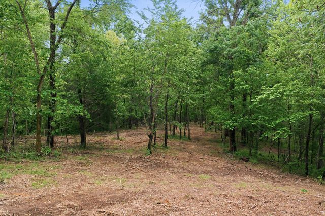 0 Willow Springs Road, Lyles, TN 37098
