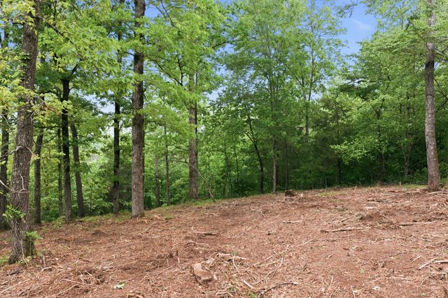 0 Willow Springs Road, Lyles, TN 37098