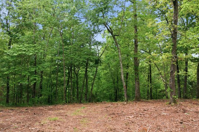 0 Willow Springs Road, Lyles, TN 37098