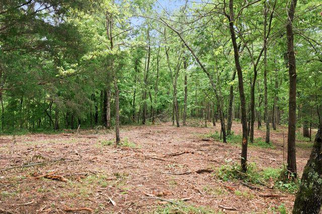 0 Willow Springs Road, Lyles, TN 37098