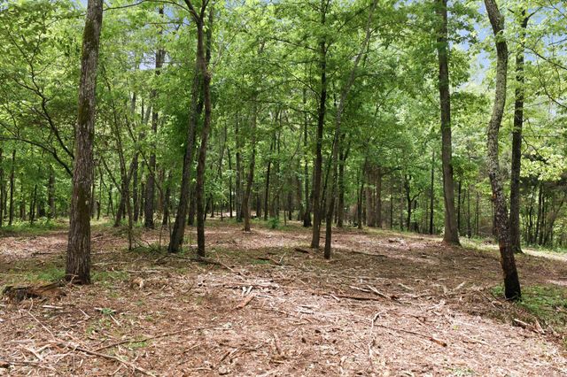0 Willow Springs Road, Lyles, TN 37098
