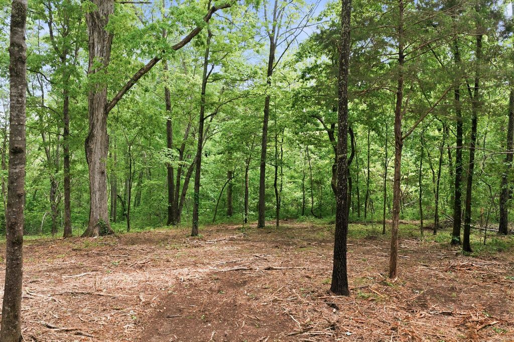 0 Willow Springs Road, Lyles, TN 37098
