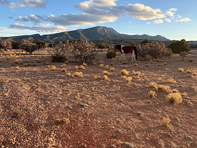 300 Camino De Las Huertas, Placitas, NM 87043