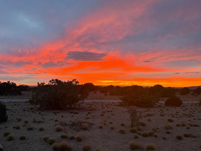 300 Camino De Las Huertas, Placitas, NM 87043