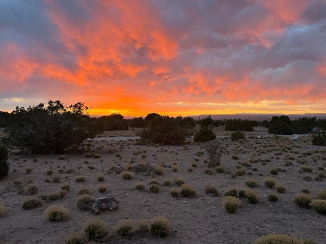 300 Camino De Las Huertas, Placitas, NM 87043