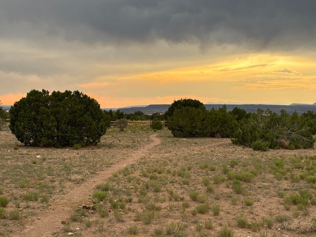 300 Camino De Las Huertas, Placitas, NM 87043