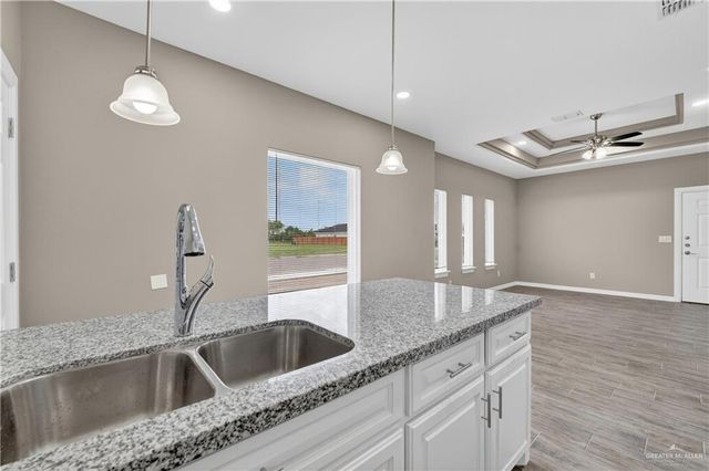 1234 Valle Vista Street, Alamo, TX 78589