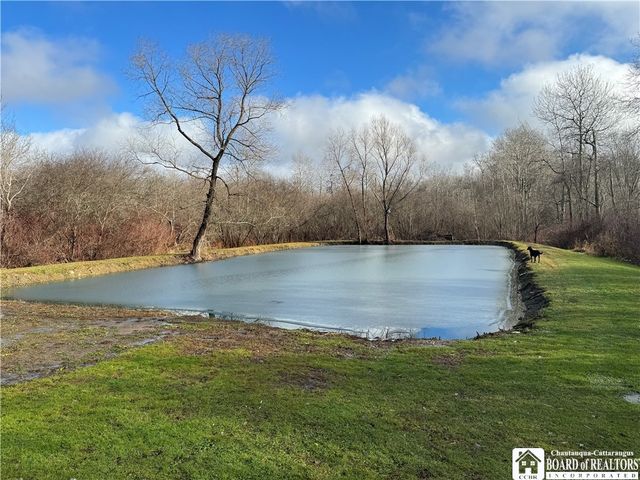 4092 Fluvanna Townline Road, Gerry, NY 14701