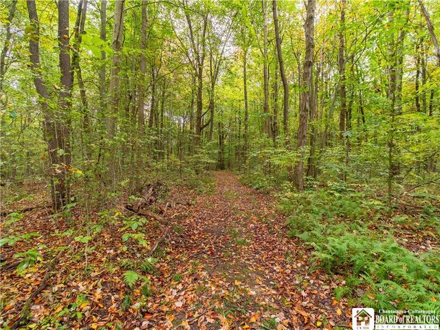 4092 Fluvanna Townline Road, Gerry, NY 14701