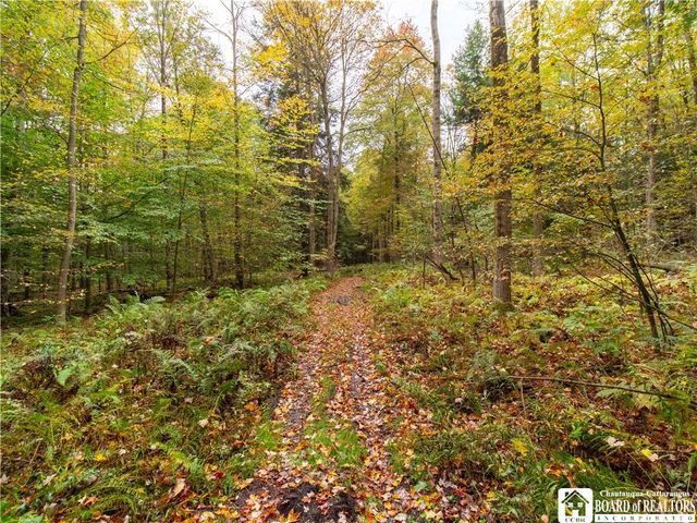 4092 Fluvanna Townline Road, Gerry, NY 14701