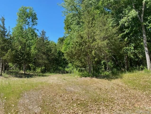 Lot 5 Dollar Ridge Lane, South Lyon, MI 48178