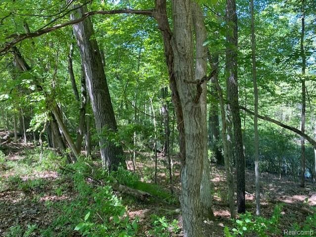Lot 5 Dollar Ridge Lane, South Lyon, MI 48178