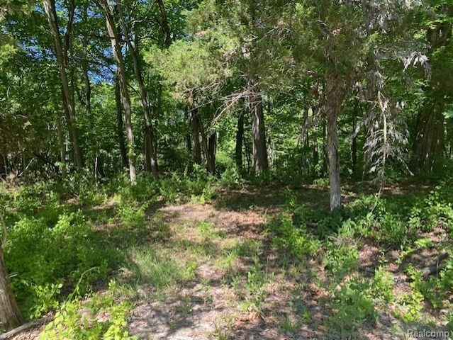 Lot 5 Dollar Ridge Lane, South Lyon, MI 48178