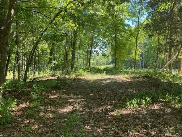 Lot 5 Dollar Ridge Lane, South Lyon, MI 48178