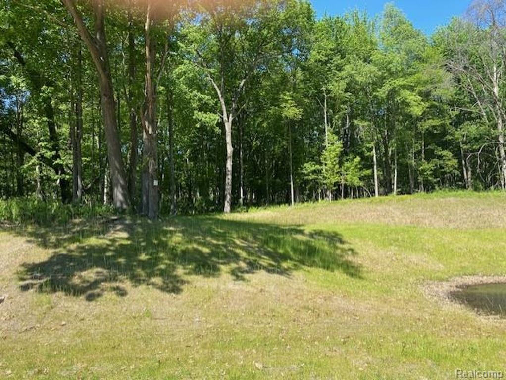 Lot 5 Dollar Ridge Lane, South Lyon, MI 48178
