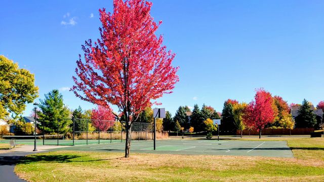 2960 Molina Street, Shakopee, MN 55379