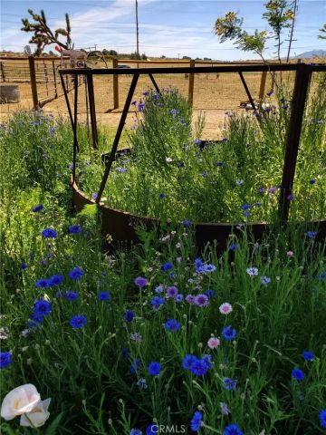 11524 Deep Creek Road, Apple Valley, CA 92308