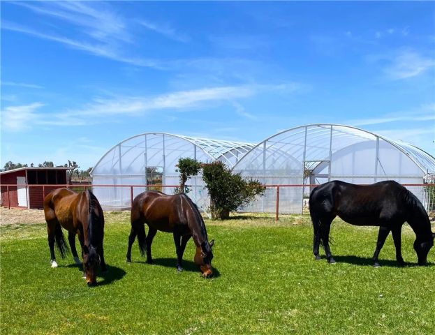 11524 Deep Creek Road, Apple Valley, CA 92308