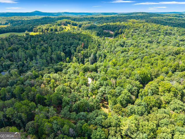 1366 Deer Woods Trail, Cleveland, GA 30528