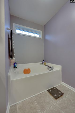 311 Starling View Court, Lexington, SC 29073