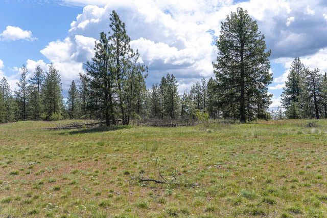 56xx W (Lot 4W) Jergens Rd, Nine Mile Falls, WA 99026