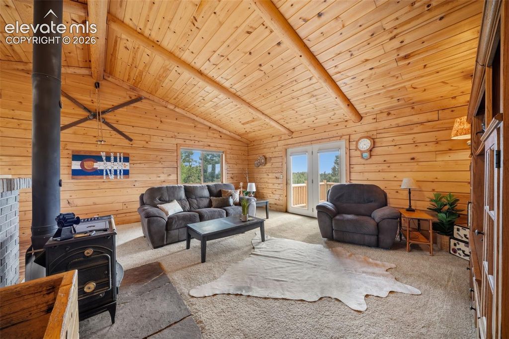 4269 County Road 51 Road, Divide, CO 80814 — photo 5