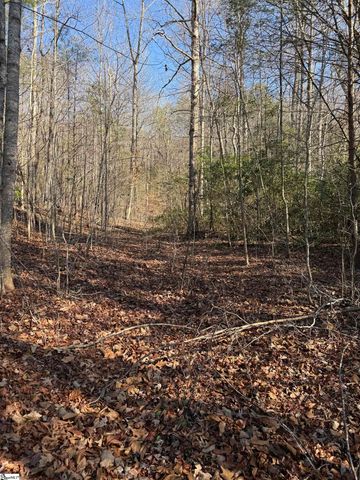 24 Windswept Lane, Travelers Rest, SC 29690