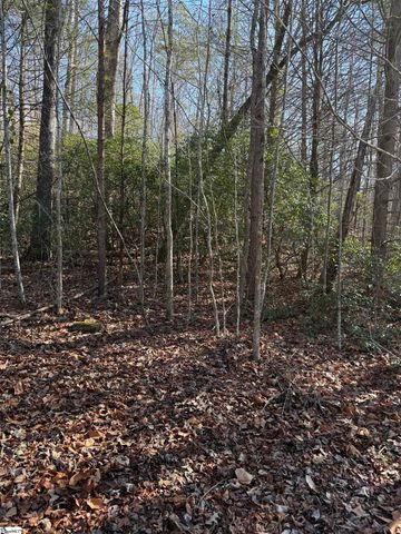 24 Windswept Lane, Travelers Rest, SC 29690