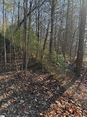 24 Windswept Lane, Travelers Rest, SC 29690