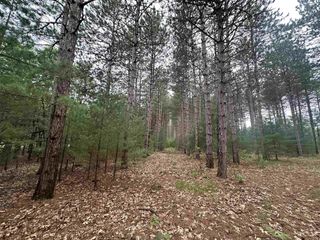 52+/-acres Happersett Lane, Redgranite, WI 54970