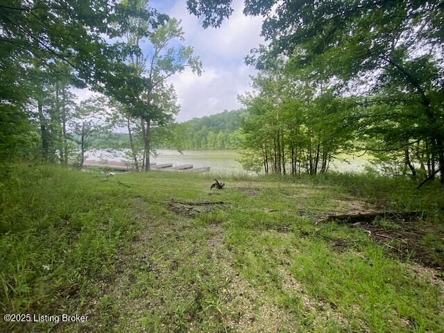 37 Conoloway Bay Dr, Clarkson, KY 42726