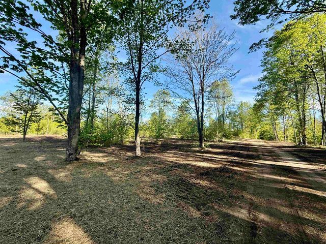 1155 E Solaris Way, Kasson Twp, MI 49664