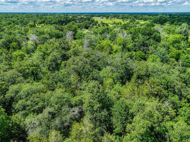 TBD County Road 132, Bedias, TX 77831