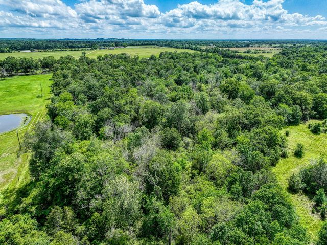 TBD County Road 132, Bedias, TX 77831