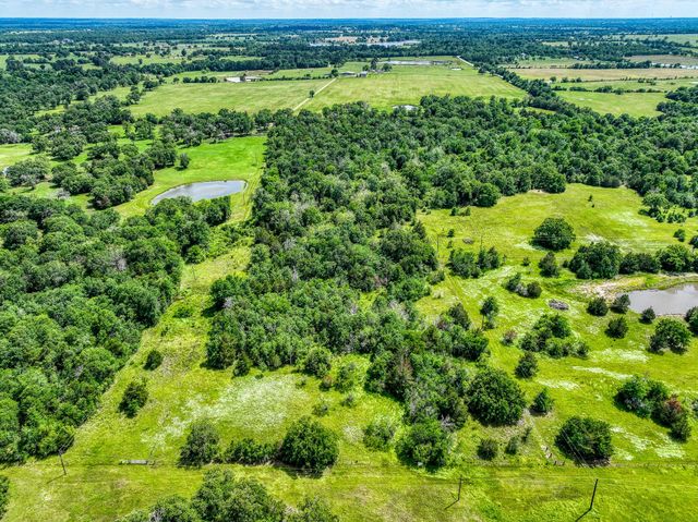 TBD County Road 132, Bedias, TX 77831