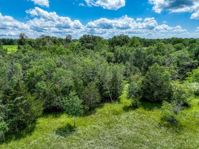 TBD County Road 132, Bedias, TX 77831