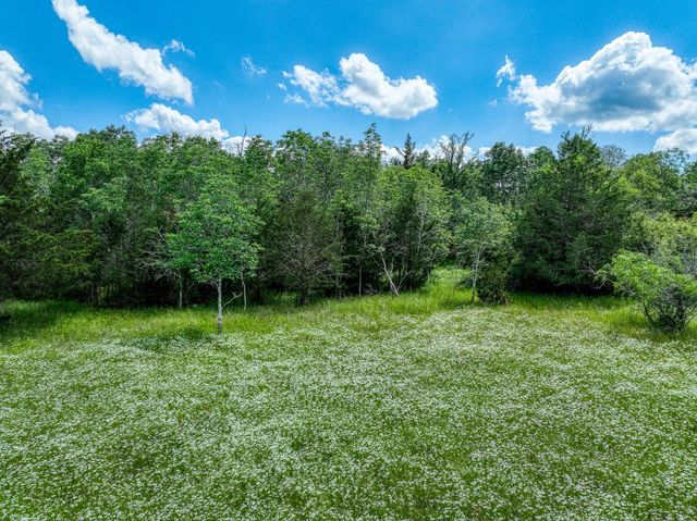 TBD County Road 132, Bedias, TX 77831