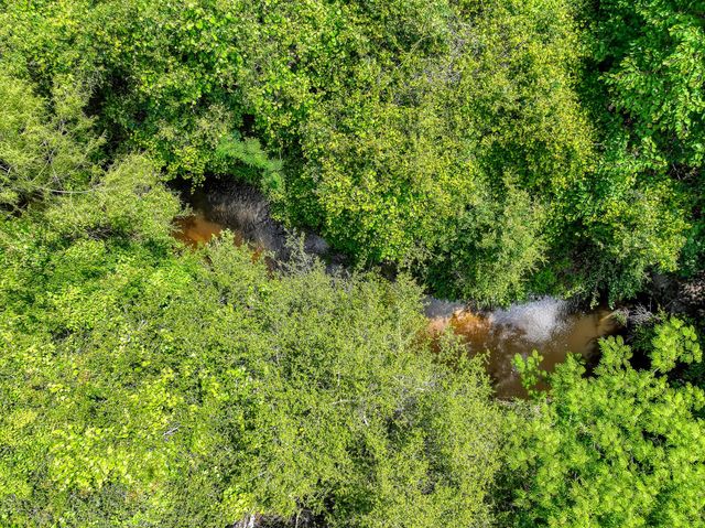 TBD County Road 132, Bedias, TX 77831