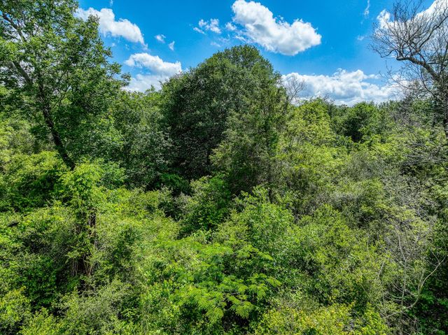 TBD County Road 132, Bedias, TX 77831