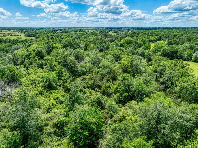 TBD County Road 132, Bedias, TX 77831