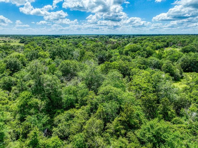 TBD County Road 132, Bedias, TX 77831