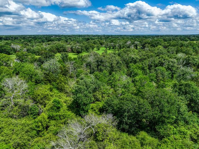 TBD County Road 132, Bedias, TX 77831