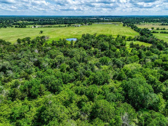 TBD County Road 132, Bedias, TX 77831