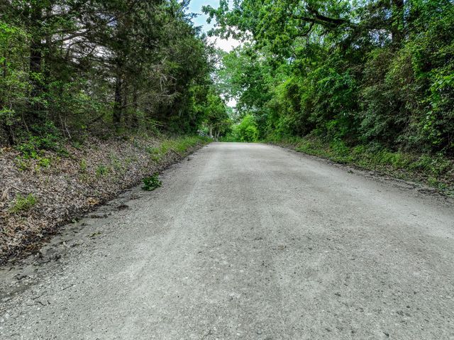 TBD County Road 132, Bedias, TX 77831