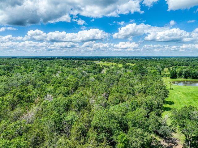 TBD County Road 132, Bedias, TX 77831