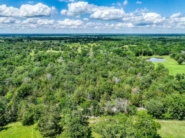 TBD County Road 132, Bedias, TX 77831