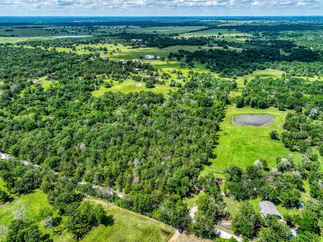 TBD County Road 132, Bedias, TX 77831