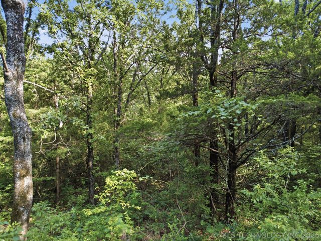 53360 S 36300 Road, Cleveland, OK 74020