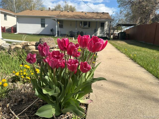 526 E 13th Street, Loveland, CO 80537