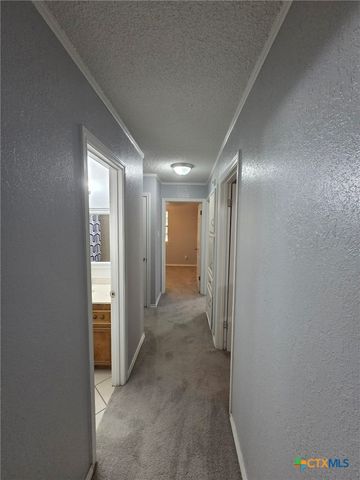 1804 Kangaroo Avenue, Killeen, TX 76543